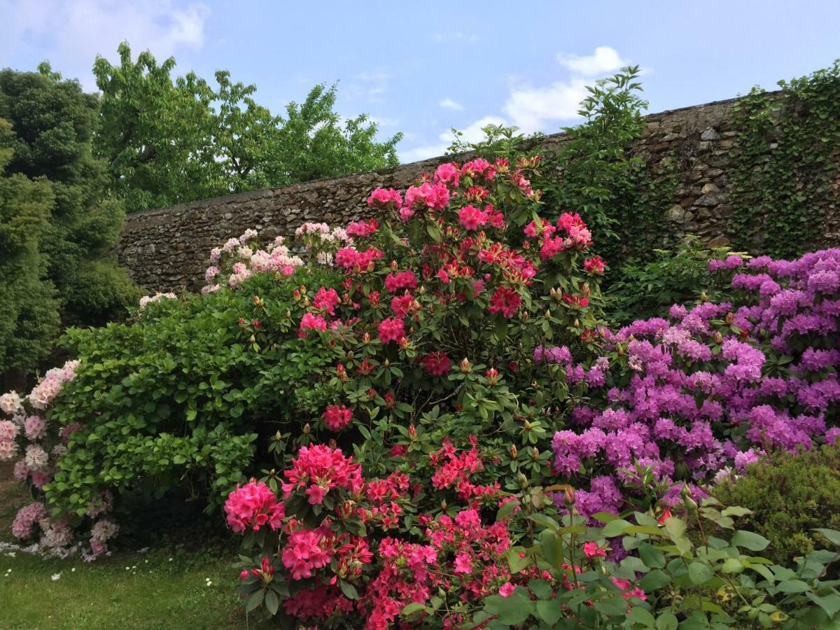 Domaine Des Trois Chateaux Moisenay Exteriör bild